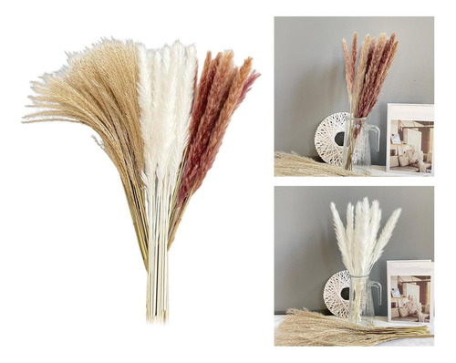 Mesa De Sala Grande, 60 Unidades, Pampa Dry Grass, Fra