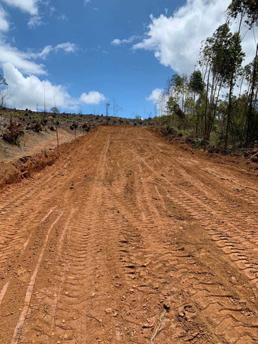 Imagem 11 de 13 de Jl- terreno 600m2 Disponível