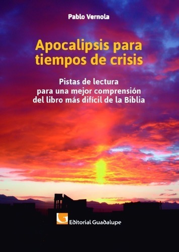 Imagen 1 de 1 de Apocalipsis Para Tiempos De Crisis · Pablo Vernola