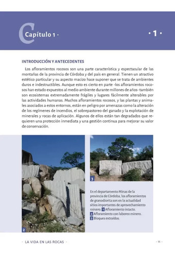Cantero: La Vida En Las Rocas - Guía Ilustrada Flora Córdoba