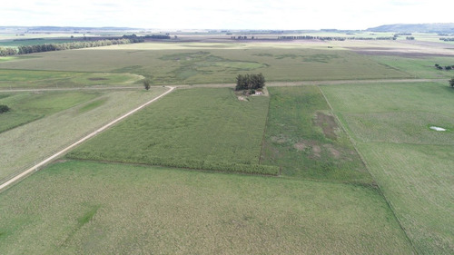 Imagen 18 de 30 de Quinta De 8 Has. A 1.800 Mts Ruta 226 - 100 % Agrícola