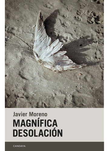 Magnífica Desolación - Francisco Javier Moreno García