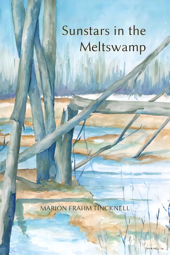 Sunstars In The Meltswamp, De Tincknell, Marion Frahm. Editorial Lightning Source Inc, Tapa Blanda En Inglés