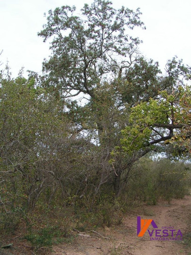 Imagen 7 de 10 de Venta Campo Pluma De Pato 700ha Salta-
