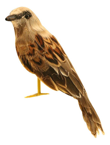 Ornamento De La Taxidermia Del Pájaro Del Gorrión