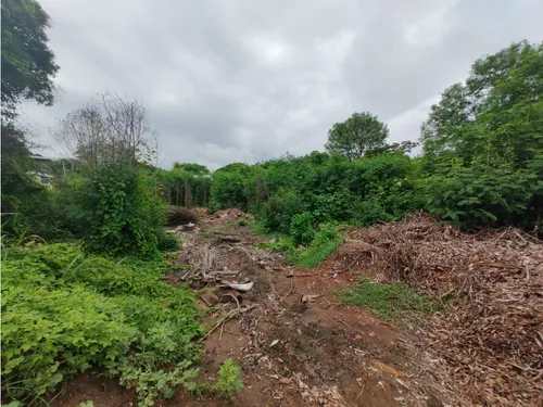 Lote En Venta 7.156 Mts2 Ricaurte Cundinamarca