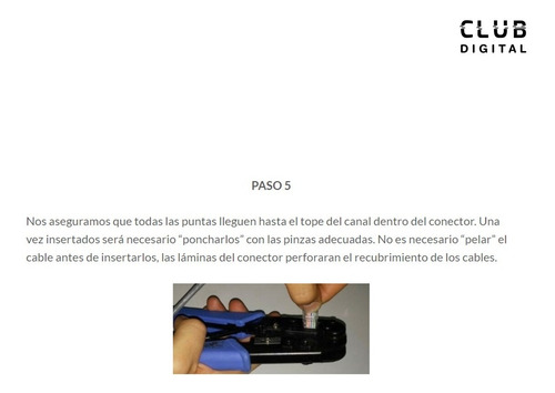 Imagen 7 de 10 de Ficha Red Conector Plug Rj45 Cat5e Utp Bolsa 100u Reguvolt