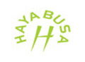 Hayabusa