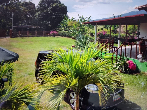 Imagen 10 de 10 de En Venta Hermosa Finca Via La Morita El Piñal