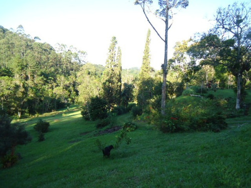 Imagem 14 de 14 de Juquitiba Belo Sitio 13 Alqueires Ref 1270