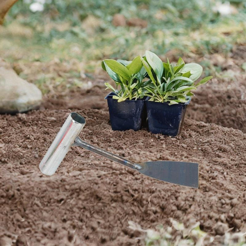 Pequeña Herramienta De Desembarco De Hojas De Jardinería