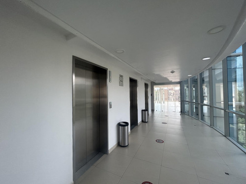Oficina En Renta - Thiers Piso 5 - 538 M2