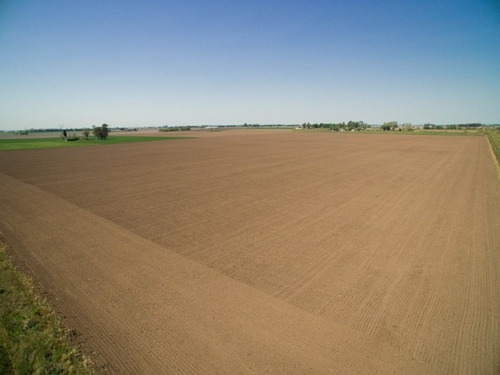 Imagen 4 de 5 de Campo 29 Has Para Desarrollo Urbanístico