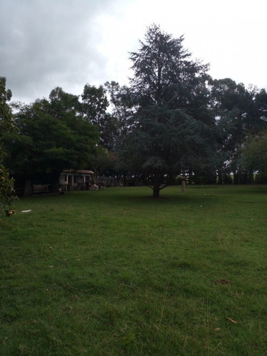 Alquiler De Campo De 4 Hectareas En El Boqueron, Apto Para Cria De Animales