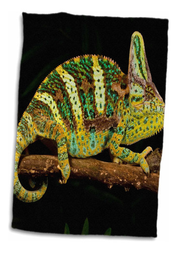 3d Rose Veiled Chameleon Lizard-native To Yemen-na02 Toalla