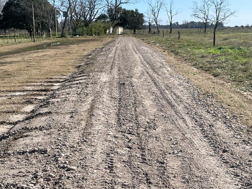 Terrenos En Venta En Zona Rural Partido De Chascomús.