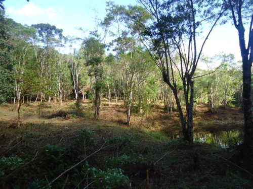 Imagem 5 de 10 de Lindo Terreno Com Lago Ref 874