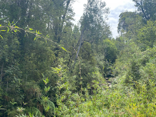 Venta De Parcela En Sendero Tres Puentes (70073)