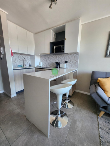 Departamento En Arriendo De 1 Dorm. En Valdivia