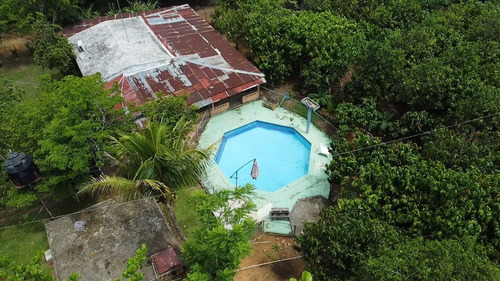 Finca 327 Tareas Con Casa Y Piscina Ganadera Y Agrícola