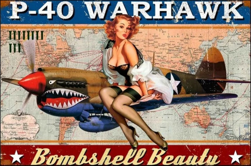 Poster Retrô Avião P-40 Warhawk Pin Up 30x45 Plastificado
