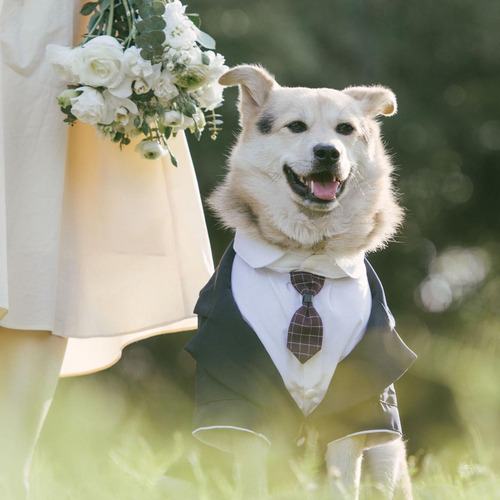 Perro Tuxedo Ropa Para Perros Traje De Boda Ligero 5xl