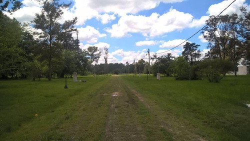 Imagen 3 de 6 de Lotes En Venta Con Financiacion - San Vicente
