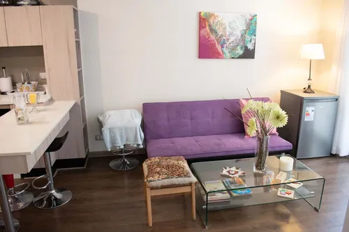 Arriendo Depto Amoblado 1 Habitación - Santiago (4238)