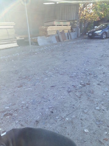 Imagen 2 de 5 de Galpon En Venta En Lanus Este