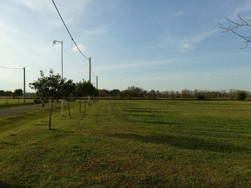 Terreno Barrio Cerrado. Roldán. Pucará Los Búhos. 1577 M2