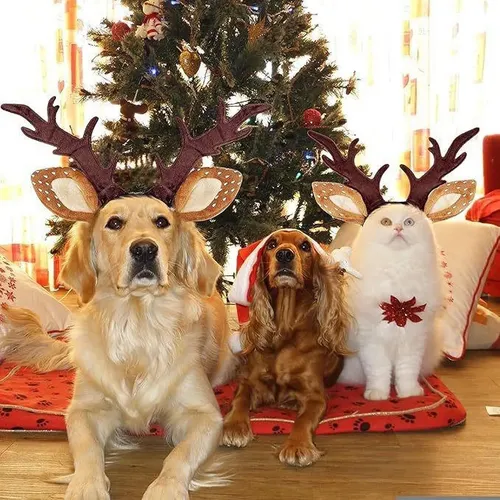 Diadema De Astas De Reno Para Perros Y Gatos – Disfraz Navideño De Felpa Suave, Elástica Y Cómoda, Talla Única
