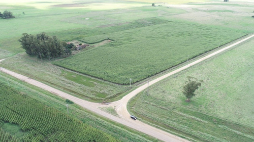 Imagen 25 de 30 de Quinta De 8 Has. A 1.800 Mts Ruta 226 - 100 % Agrícola