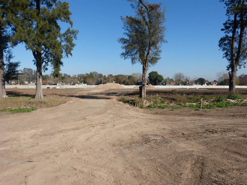 Imagen 6 de 16 de Terreno Lote En Venta Ubicado En Pinazo, Del Viso, Pilar