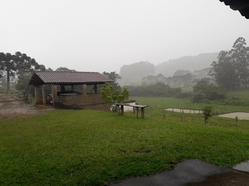 Venda Sítio - Pocinhos Do Rio Verde 72.000m2 (aceita Troca) Com Mina