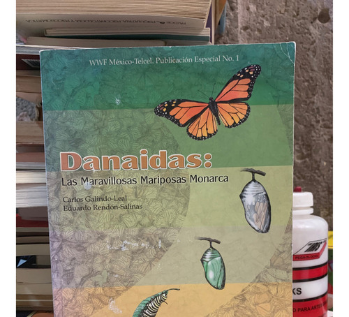 Danaidas: Las Maravillosas Mariposas Monarca - Galindo