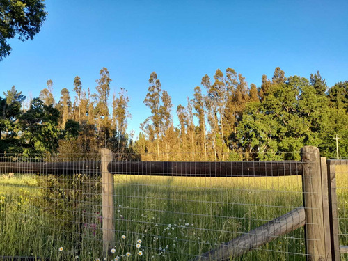 Venta Hermosa Parcela A Min. De P Las C (73819)