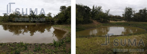 Rancho En Venta Sobre Carretera Tuxpan - Tampico, Ozuluama Veracruz