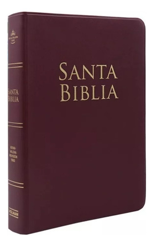 Biblia Rvr-1960 Vino Letra Grande Tamaño Manual (9849)