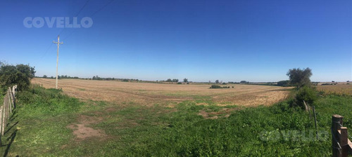 Campo En Martin Chico, Buena Tierra Productiva, Zona En Desarrollo