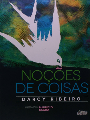 Noções de coisas, de Ribeiro, Darcy. Série Darcy Ribeiro Editora Grupo Editorial Global, capa mole em português, 2014