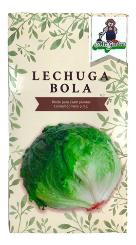 Semillas De Lechuga Romana/bola Para Cultivo