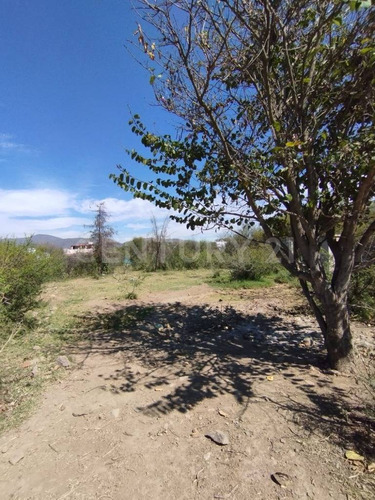 Terreno En Venta En Fraccionamiento Campo Sur, Tlajomulco De Zuñiga