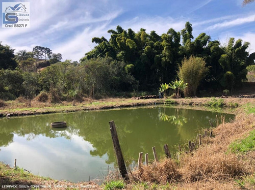 Imagem 11 de 15 de Chácara Para Venda Em Pedra Bela, Zona Rural, 3 Dormitórios, 2 Banheiros - 1184_2-1222483