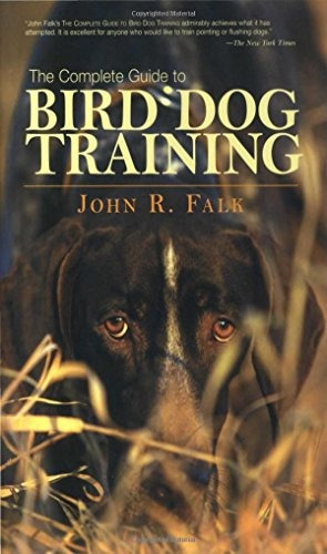 Complete Guide To Bird Dog Training