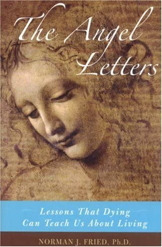 Libro: The Angel Letters: Lessons That Dying Can Teach Us