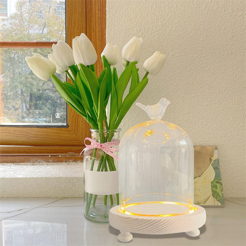 Cristal Transparente Cloche Dome Showcase 9x11cm Pájaro