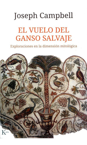 El Vuelo Del Ganso Salvaje . Exploraciones En La Dimension M