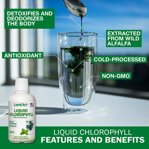 Land Art Clorofila Líquida Sabor Menta 16 Oz Detox