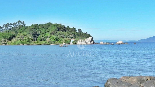 Imagem 6 de 13 de Chácara Rural Na Praia Da Tapera, Florianópolis - . - Ch0002
