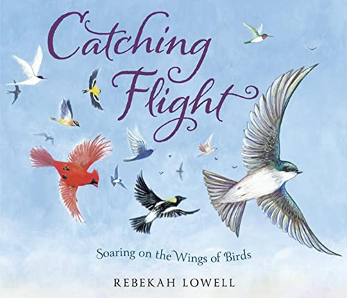 Catching Flight: Soaring On The Wings Of Birds (libro En Ing